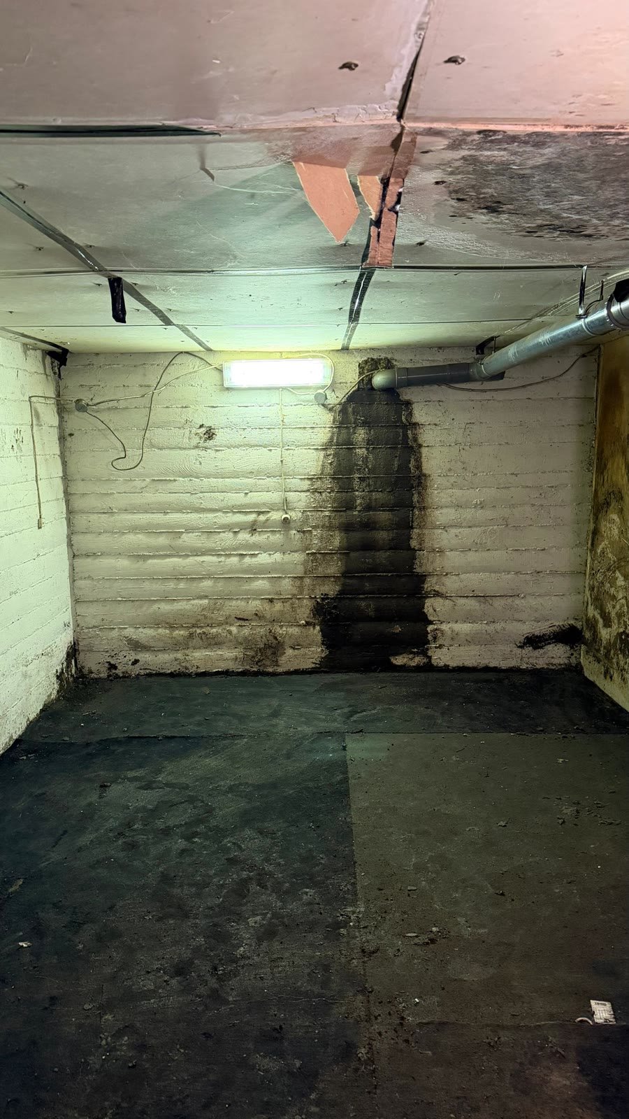 cave entièrement vidée après une intervention de débarras à Lyon